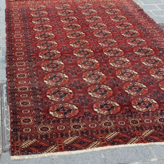 Tekke Rug 10553
almost
170 cm x 240 cm = 4.08 m2
66.93" x 94.49"
5.58' x 7.87'                   