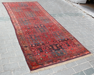 Kyrgyz Rug 10558
almost
160 x 386 cm = 6.18 m2
62.99" x 151.97"
5.25' x 12.66'                    