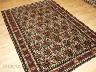 Antique Abedeh rug with the classic Zili Sultan ‘vase and peacock’ design, the rug has excellent soft colours on an ivory ground. www.knightsantiques.co.uk 

Size: 7ft 5in x 5ft 0in (227 x 152cm).  ...