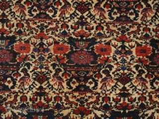 Antique Abedeh rug with the classic Zili Sultan ‘vase and peacock’ design, the rug has excellent soft colours on an ivory ground. www.knightsantiques.co.uk 

Size: 7ft 5in x 5ft 0in (227 x 152cm).  ...