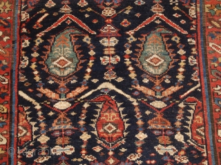 Antique South Caucasian Kurdish or Shahsavan runner, with all over boteh and shrub design. www.knightsantiques.co.uk 

Size: 12ft 11in x 3ft 11in (394 x 120cm). 

Circa 1880.

The indigo field is filled with large  ...