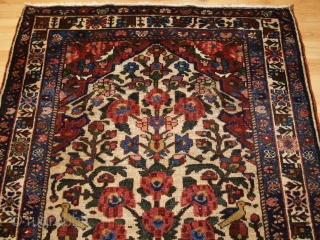 Antique Persian Bakhtiari rug of the garden design with a large vase. www.knightsantiques.co.uk 

Size: 6ft 6in X 4ft 8in. (197 X 143cm).

Circa 1900/20. 

A good example of a garden rug with a  ...