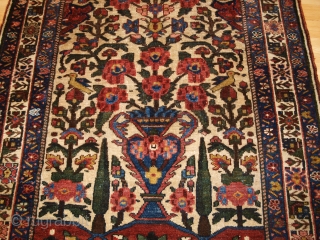 Antique Persian Bakhtiari rug of the garden design with a large vase. www.knightsantiques.co.uk 

Size: 6ft 6in X 4ft 8in. (197 X 143cm).

Circa 1900/20. 

A good example of a garden rug with a  ...