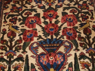 Antique Persian Bakhtiari rug of the garden design with a large vase. www.knightsantiques.co.uk 

Size: 6ft 6in X 4ft 8in. (197 X 143cm).

Circa 1900/20. 

A good example of a garden rug with a  ...