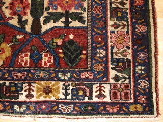 Antique Persian Bakhtiari rug of the garden design with a large vase. www.knightsantiques.co.uk 

Size: 6ft 6in X 4ft 8in. (197 X 143cm).

Circa 1900/20. 

A good example of a garden rug with a  ...