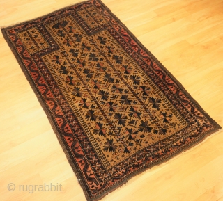 Antique Baluch camel ground prayer rug with 'tree of life' design. www.knightsantiques.co.uk 
Size: 4ft 7in x 2ft 9in (140 x 84cm). 
Circa 1900. 

The rug is beautifully drawn and has excellent colour,  ...