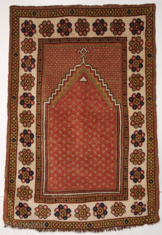 50 Superb rugs at substantial discounts, http://www.knightsantiques.co.uk/stock.asp?t=category&c=AA-SUMMER-SALE
 Please click the link to view.                    