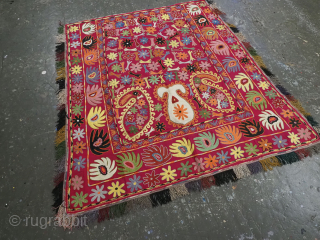 Antique Uzbek Lakai tribal ceremonial horse / saddle cover.
Size: 4ft 11inx 4ft 10in (150 x 147m) excluding tassels.
Circa 1920.

This beautiful embroidered horse / saddle cover was made by the Lakai tribe of  ...
