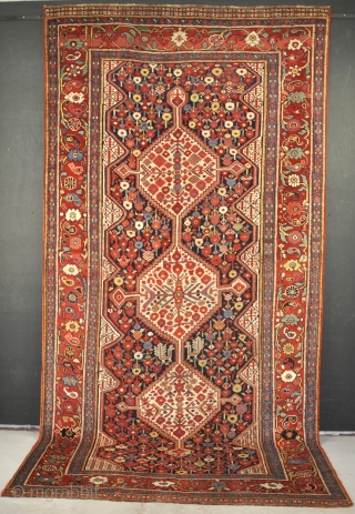 An antique Khamseh carpet with very good dyes. Even low pile, very clean. 19th century.320x149cm.                  