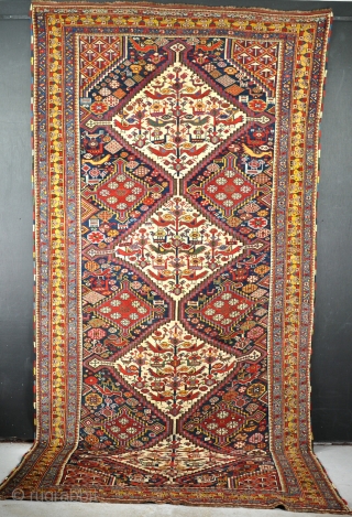 An antique Khamseh carpet. Well drawn example with many birds and beautiful glowing colours. Good solid condition, even low pile all-over, very clean. 19th century.297x148cm.        