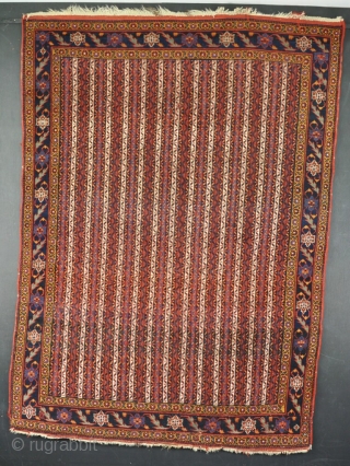 Antique all wool Afshar with cane design, slight mothing one end, a couple of minute repairs otherwise in good condition. Late 19th century.          