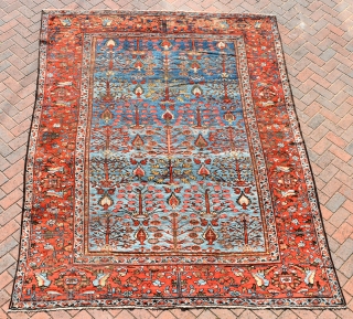 A highly unusual antique Ferahan carpet with beautiful sky-blue ground and an allover design of trees. 
Mostly in pile, some low areas, browns corroded in places, some small local repairs of high  ...