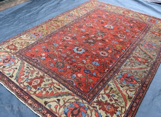 A fine and quite beautiful antique Ferahan carpet. Soft madder ground with large allover design flanked by wide yellow green borders. A top flight furnishing carpet in low pile with some high  ...