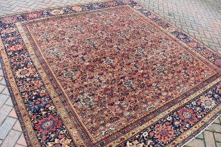 A fine antique Ferahan carpet of highly unusual square format. Allover Herat design woven on glowing madder field flanked by exquisite navy borders. Even low pile, traces of wear. A gracious carpet  ...