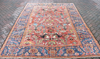 An antique Heriz carpet. allover large scale design woven in soft natural dyes on attractive coral ground flanked by generous sky blue borders. Good solid condition, minimal top flight restoration, deep cleaned  ...