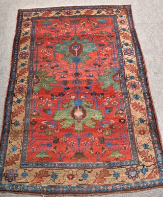 An antique Kurdish rug with beautiful colour. full pile, one small faded repair, hand washed and floor ready. Late 19th century. 189x132cm           