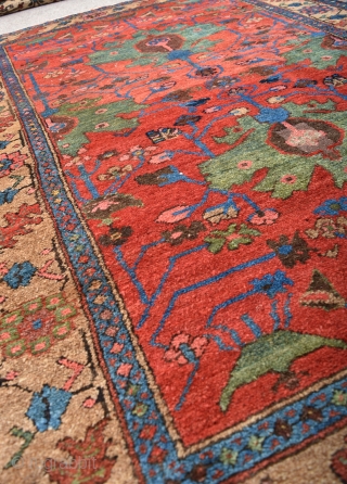 An antique Kurdish rug with beautiful colour. full pile, one small faded repair, hand washed and floor ready. Late 19th century. 189x132cm           