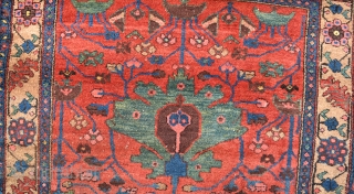 An antique Kolyai Kurd rug with exception dyes, beautiful green palmetes on a vivid red ground surrounded by rare yellow borders. A beautiful rug in very good shape just one small old  ...