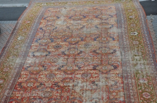 A massive antique Mahal carpet in "as found" condition with many problems. Lovely deisgn and soft color pallete. Good for a brave restorer or for a classic english country house look. White  ...