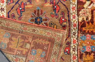 A very old Kurdish runner with an unusual pallete and top quality wool.Very good pile, but some big holes down one side and some moth damage, hence price. Great for a restoration  ...