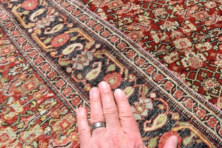 an exceptionally fine antique Senneh carpet of unusually large size. The knotting on this example as fine as I have seen on a Senneh work and it is also the biggest one  ...