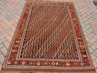 A very fine Khamseh rug with super saturated dyes and playfull boteh design. Near perfect condition. Circa 1880.               
