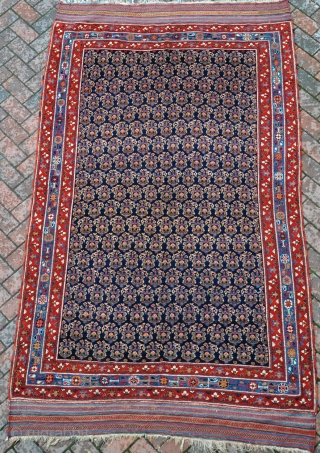 A very fine antique afshar small carpet with good dyes, fine shiny wool and in exceptional condition, no wear, no repair, just a tiny bit of moth on one side. Late 19th  ...