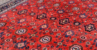 A massive antique Bijar carpet, all wool with Harshang design. Purchased at Libertys over 40 years ago and been in the same country house ever since. Good pile, original ends and sides,  ...