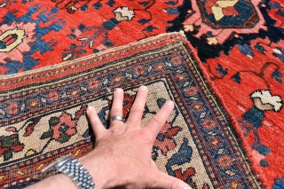 A massive antique Bijar carpet, all wool with Harshang design. Purchased at Libertys over 40 years ago and been in the same country house ever since. Good pile, original ends and sides,  ...