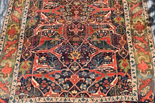 A fabulous early Persian Bijar Garrus carpet. This spectacular carpet features the all over split arabesque design synonymous with the town of Garrus and the most sought after of all the designs  ...