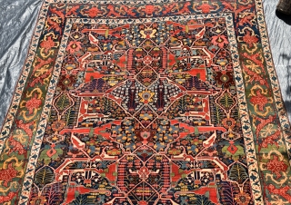 A fabulous early Persian Bijar Garrus carpet. This spectacular carpet features the all over split arabesque design synonymous with the town of Garrus and the most sought after of all the designs  ...