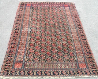 Antique khorrasan rug, slightly nibbles on ends some slight localised mothing, but full pile and good wool. Circa 1900. about 6'6x4'6. Freinly price.          