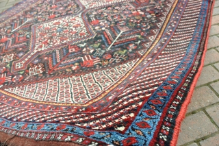 Old Khamseh main carpet in mint condition, good dyes no repair, pretty much full pile, finely made with all good dyes. Circa 1900          