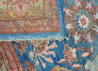 An antique Ziegler carpet with beautiful colours in untouched condition, no repairs, deep cleaned and floor ready. Late 19th century. Fresh find in extraordinary condition. One of the best I've ever had.  ...