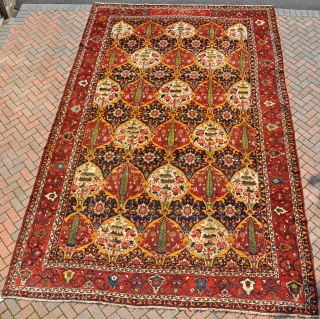 A Bahktitari "Khan" carpet with exceptional dyes and of unusualy large size. Pretty much full pile allover, minor old repiling of high quality, very dusty. Circa 1900. 496 x 313 cm.  