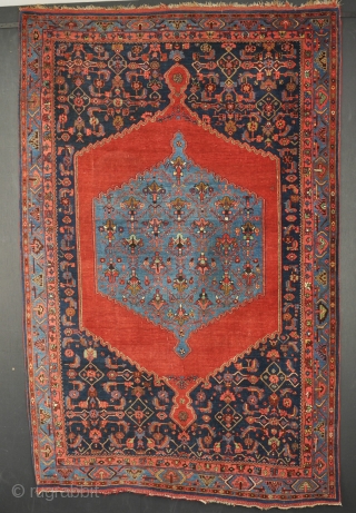 An antique Bijar rug. All wool construction and good dyes. Very slight wear in places, but generaly in great condition, just needs a wash. Circa 1890. 217cm x 138cm    