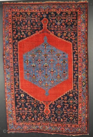 An antique Bijar rug of excellent quality. Good overal condition with no repairs. Lovely colour. Late 19th century. 214x139cm.              