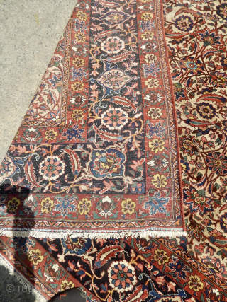 Bhaktiar Carpet Nice Ivory field, 1920's,  Excellent Condition 11'8"  x  8'5"  Please reply to my email:  takhtabazaar@me.com           