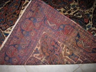  Lovely Afshar Mother & Daughter design rug 51 inches by
 86 inches. Ivory field with soft rich colors.              