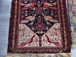Baluch mid 20th century Collectible Rug - Multiple Peacocks, other birds
and many interesting figures. 30" X 60" full pile, has rings for hanging
which it probably always has been.
$ Please Ask   