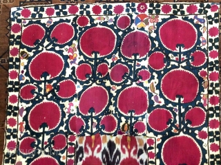 19th cent Uzbek Ura tube region Suzani. It has superb stitches, and veg dyes colours. Excellent adras ikat in the middle, and excellent colours Russian block print back of suzani. 
  