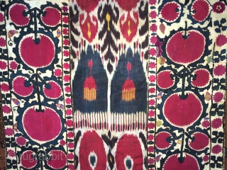 19th cent Uzbek Ura tube region Suzani. It has superb stitches, and veg dyes colours. Excellent adras ikat in the middle, and excellent colours Russian block print back of suzani. 
  