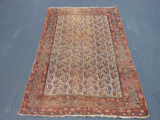 Persian Afshar, 4 x 5-9 (1.22 x 1.75), late 19th century, Botehs, worn, browns oxidized, small hole, I washed this piece, beautiful colors, plus shipping.        