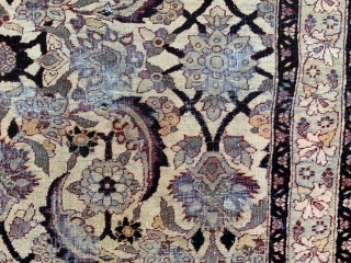 Persian Lavar Kerman, late 19th century, 2-7 x 3-1 (79 x 94), rug was hand washed, some new side bindings, decent condition, worn, pretty rug, plus shipping.      