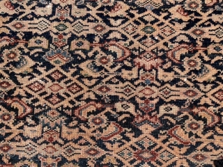 Persian Malayer,  early 20th century,  3-3 x 4-9 (99 x 145), rug was hand washed, minor end loss, floppy handle, fine weave,  very good purple and burgundy,  high  ...