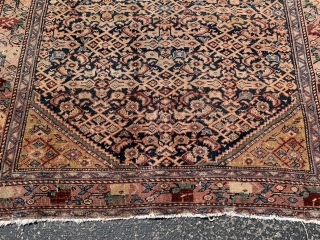 Persian Malayer,  early 20th century,  3-3 x 4-9 (99 x 145), rug was hand washed, minor end loss, floppy handle, fine weave,  very good purple and burgundy,  high  ...