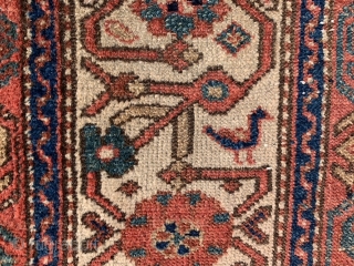 North West Persian, Kurdish, late 19th century, 4-2 x 7-2 (127 x 218), rug was hand washed, small birds, dragon border, wear, ends need little work, edges need little wrapping, small white  ...