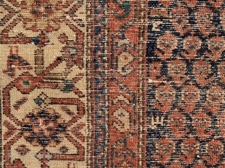 North West Persian, Kurdish, late 19th century, 4-2 x 7-2 (127 x 218), rug was hand washed, small birds, dragon border, wear, ends need little work, edges need little wrapping, small white  ...