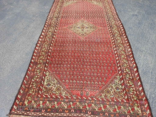 Persian Kurdish Kelleh, 5-1 x 10-6 (1.55 x 3.20), circa 1900, Boteh's, even wear, wool warp and weft, original selvage both ends, 2 corners dog eared, I washed this rug, great purple  ...