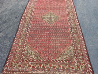 Persian Kurdish Kelleh, 5-1 x 10-6 (1.55 x 3.20), circa 1900, Boteh's, even wear, wool warp and weft, original selvage both ends, 2 corners dog eared, I washed this rug, great purple  ...